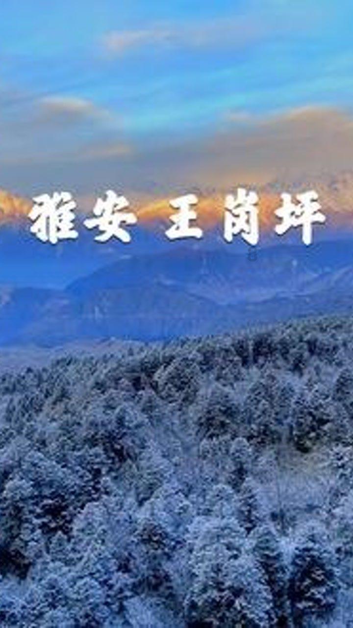 果果大作战