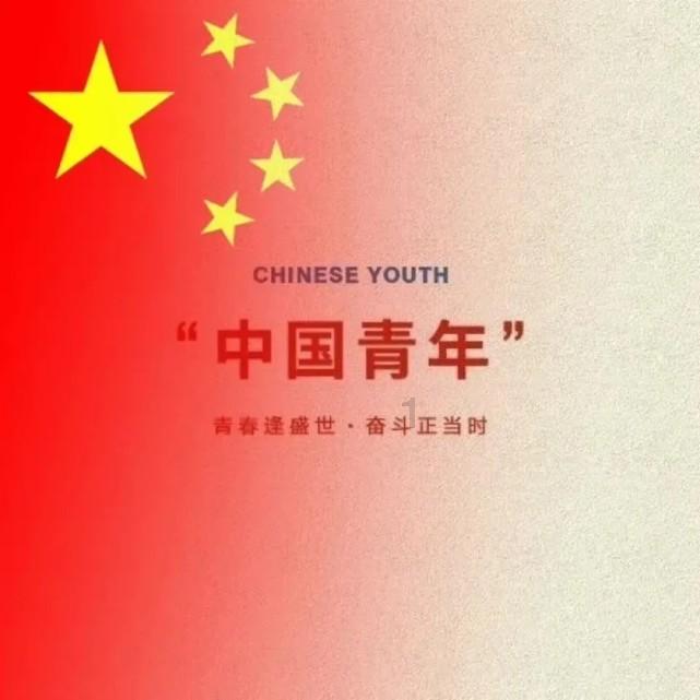 宇宙蜜蜂无敌版